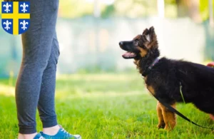 Mehr über den Artikel erfahren Schäferhund Züchter und Welpen in St. Wendel